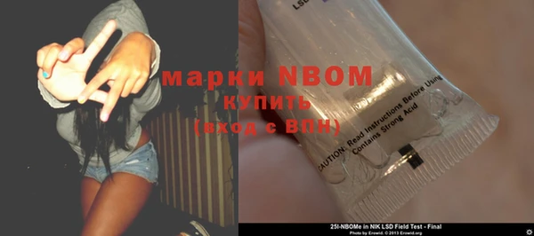 ГАЛЛЮЦИНОГЕННЫЕ ГРИБЫ Богданович