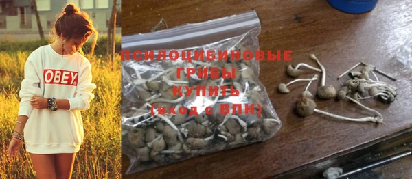 спиды Козловка