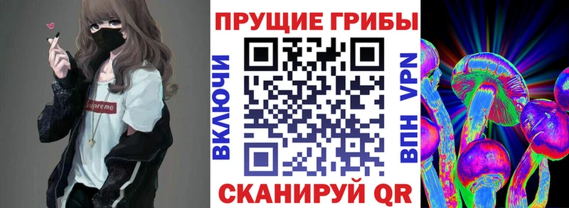 Псилоцибиновые грибы GOLDEN TEACHER купить наркотик Вуктыл